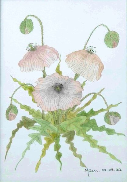 Watercolour painting Abstract study of a poppy plant by an Irish artist. Buy paintings for your home or office 100% hassle free shopping